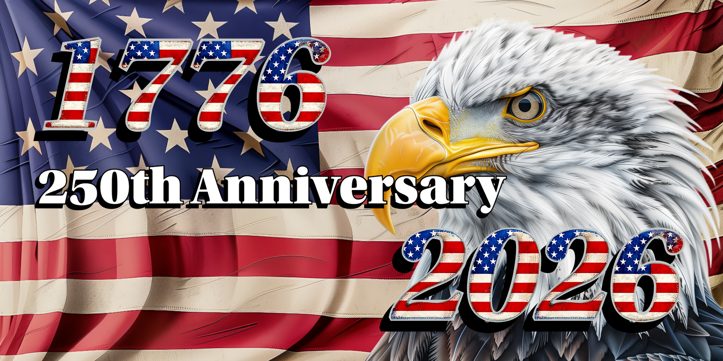 Placa de matrícula personalizada de 12x6