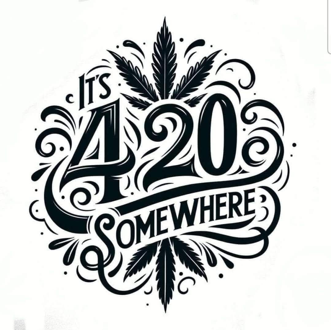 Short Sleeve Solid Color Tshirt