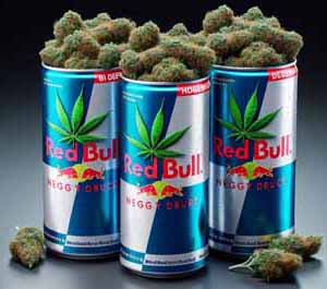 11" x 8" tempered glass cutting board; durable, easy-clean surface, scratch- and stain-resistant kitchen tool.